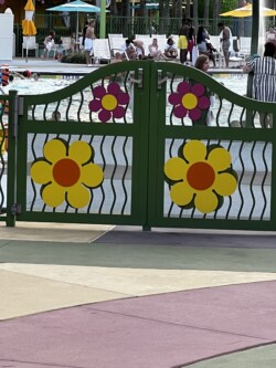 Hippy Dippy Pool (main pool)