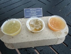 Beer Flight Northern Bloom