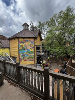 Tiana's Bayou Adventure