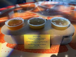 Beer Flight Citrus Blossom